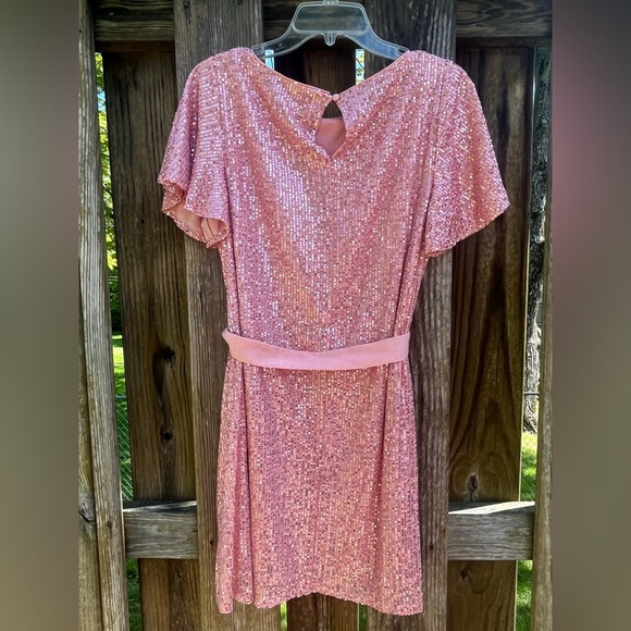 LC Pink Sequin Dress - Picture 4 of 10